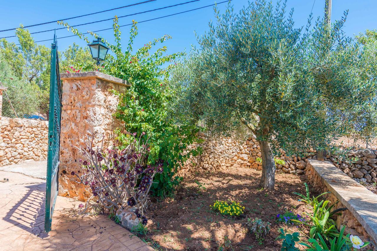 Clau De Sol Villa Can Picafort  Exterior photo