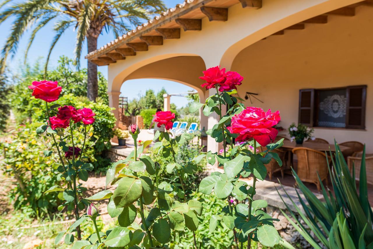Clau De Sol Villa Can Picafort  Exterior photo